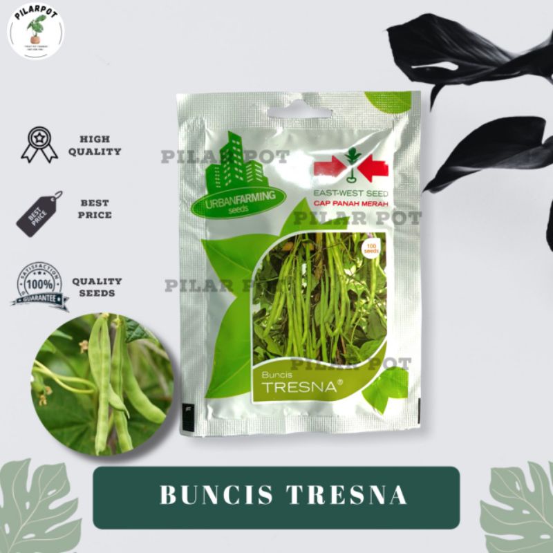 Benih Bibit Buncis Tresna Cap Panah Merah - BUNCIS TRESNA EAST WEST SEED