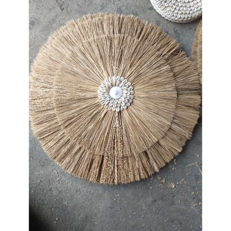 Juju Rumput Kerang Dm 50cm