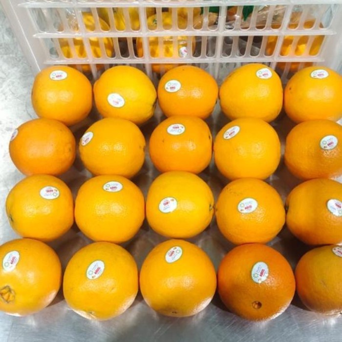 

Sunkist Freshco