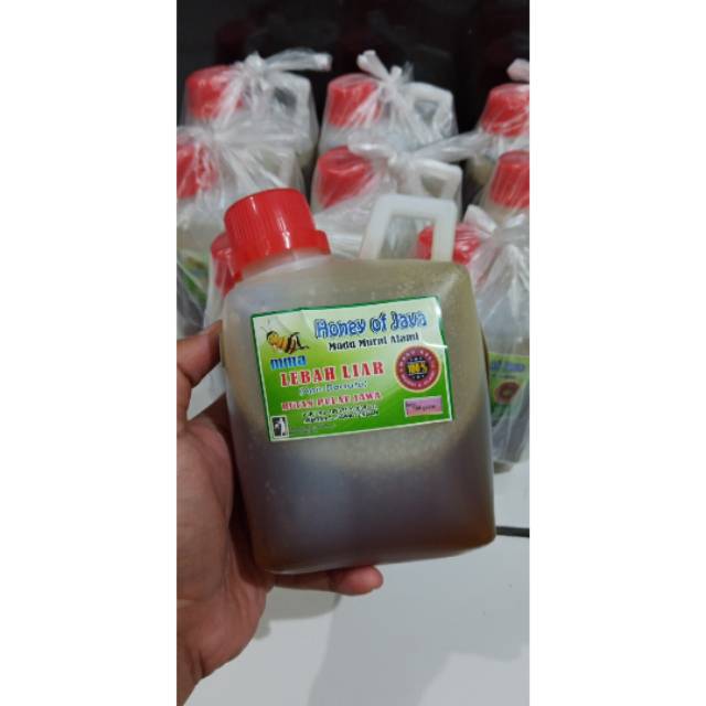 

MADU LEBAH LIAR (APIS DORSATA) 700gr