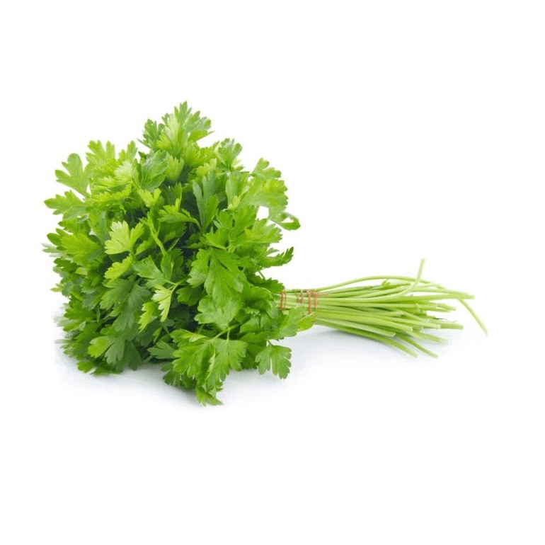 Daun Ketumbar / Wansui/ Cilantro Organik 100gr