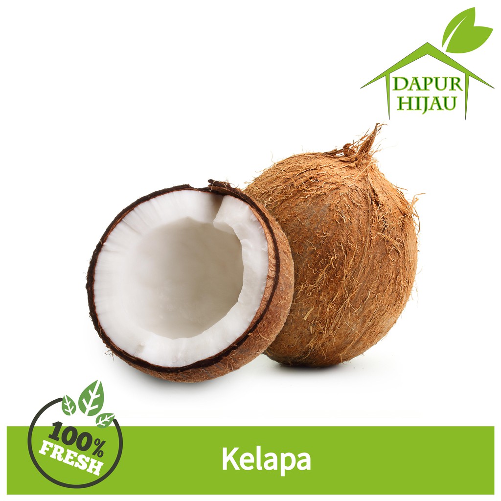 

Kelapa - Kelapa Utuh Tanpa Serabut - Kelapa Utuh Murah