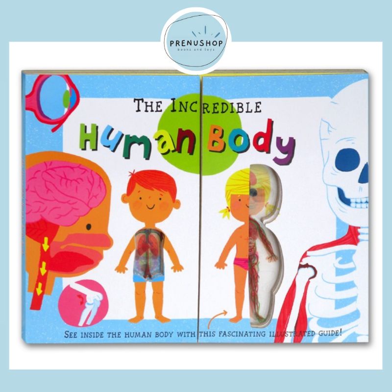 Board Book The Incredible Human Body