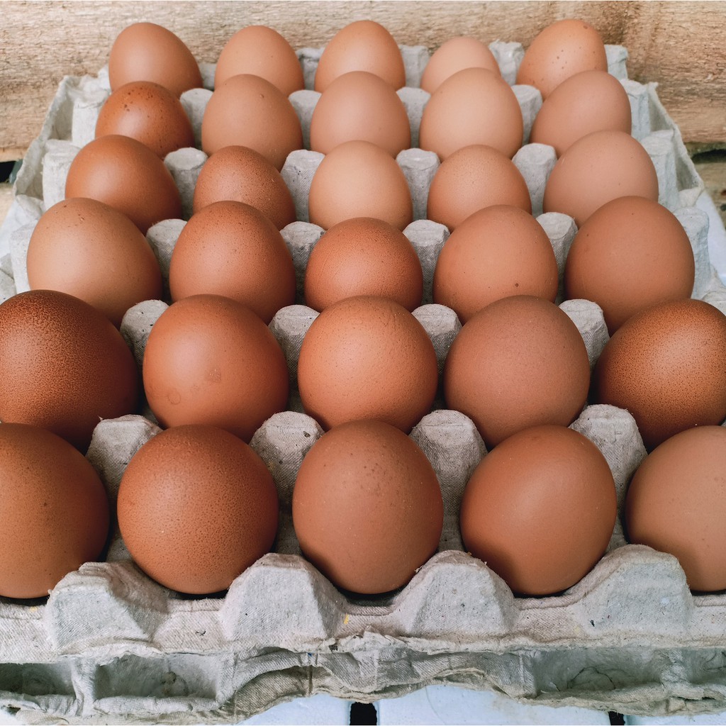 TELUR AYAM NEGERI 1 KG FRESH BANDUNG CIMAHI