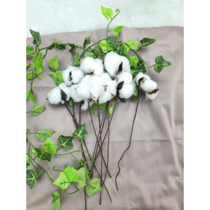 WMS Bunga Kapas Kering / Dried Cotton Hiasan Dekorasi Hiasan Vas Hiasan Rustic