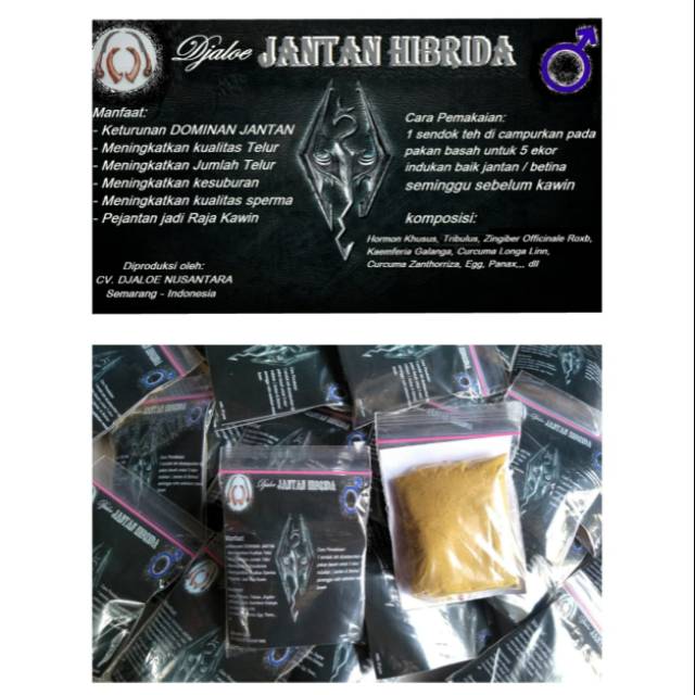 41 Koleksi Gambar Reproduksi Unggas Jantan HD