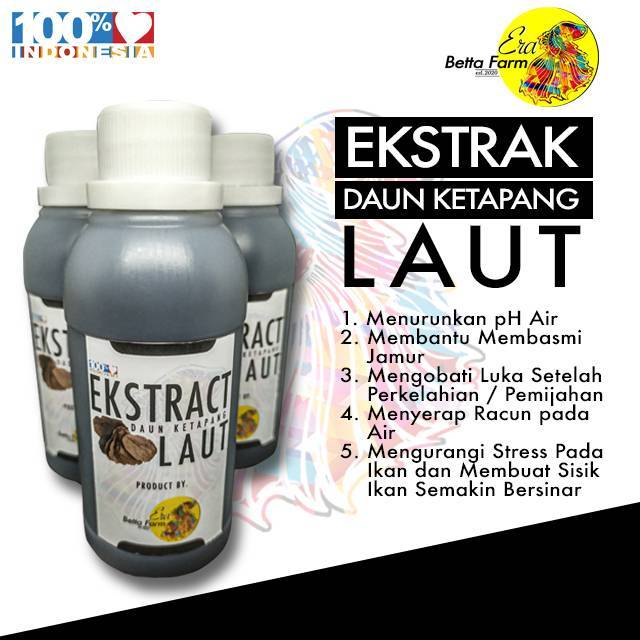 

Ekstrak Daun Ketapang Laut