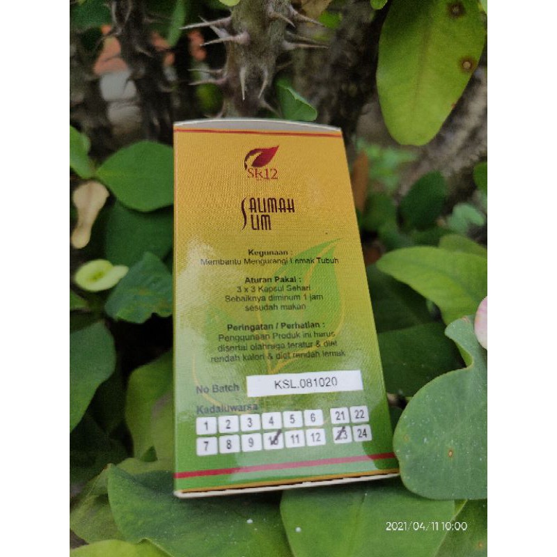 OBAT DIET AMAN BUSUI /PELANGSING HERBAL