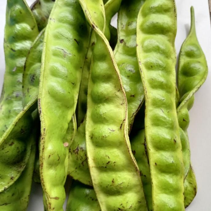 

Big Sale PETE PER PAPAN Big Sale