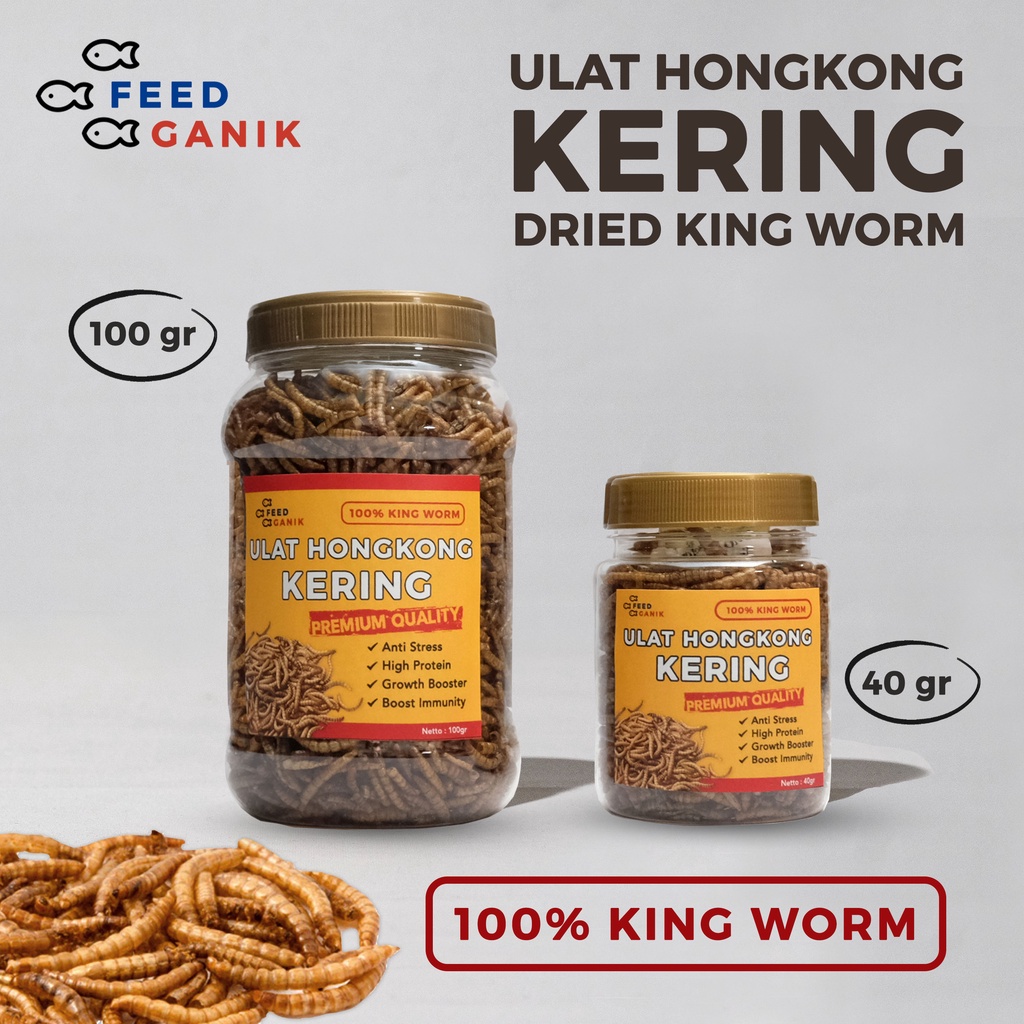 Ulat Hongkong Kering Feedganik 40gr dan 100gr | Dried Mealworm Pakan Ikan, burung, landak, sugar gli