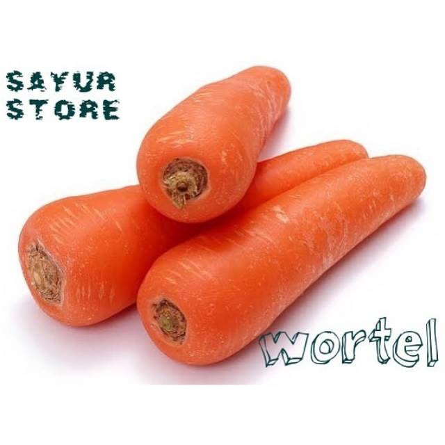 

WORTEL IMPORT