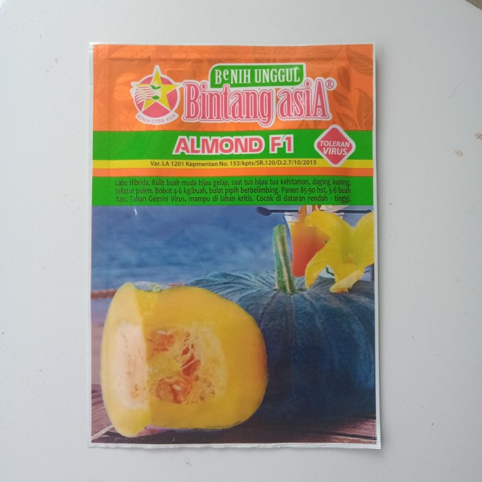 10GR BENIH WALUH/LABU F1 ALMOND - BIBIT WALUH/LABU