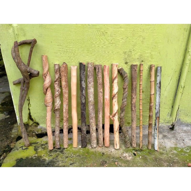 kayu bertuah kalimantan 15 jenis