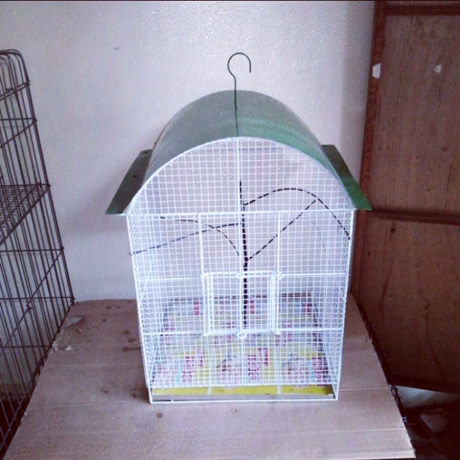 TERLARIS Kandang burung besi gantung kawat ram buat burung parkit love bird dll HGS0X-7
