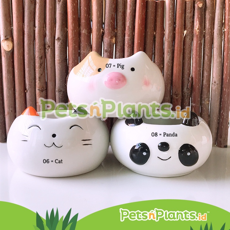 Tempat Makan Hamster Pet Feeding Bowl Premium Ceramic Mug Anti Tumpah