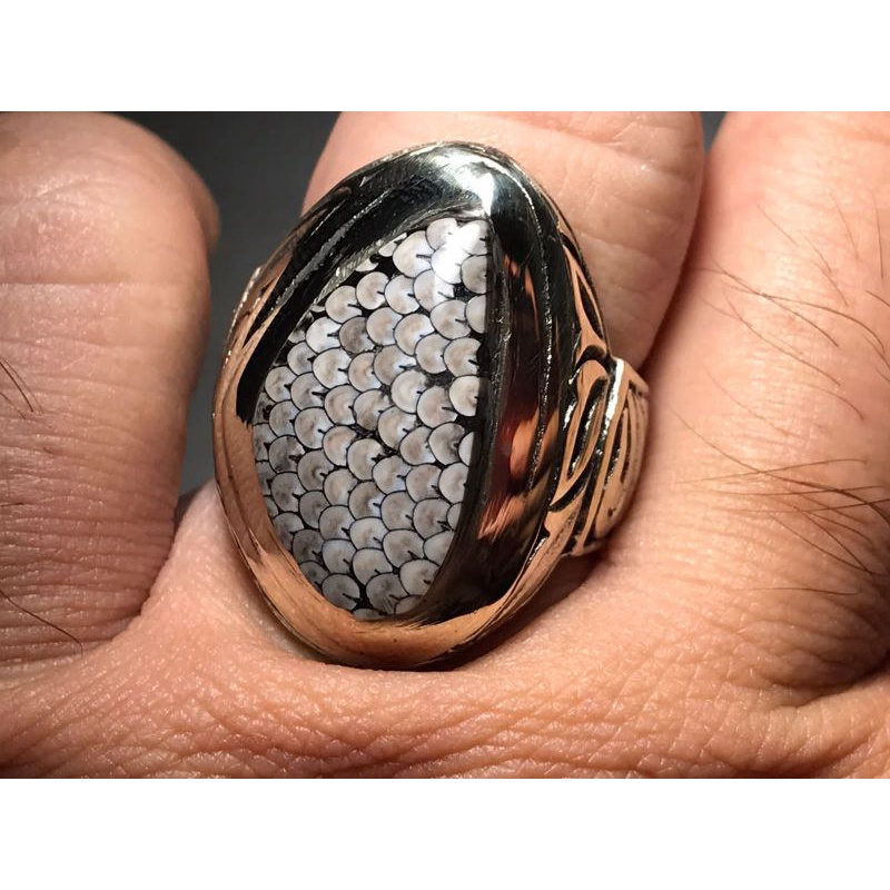 jhipen sisik ular madura