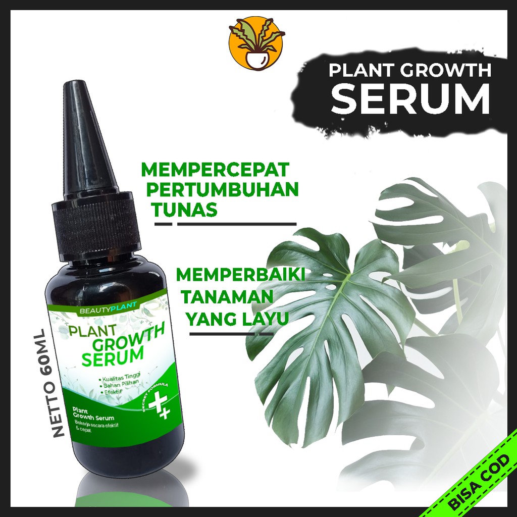 Serum Tanaman Hias Plant Growth Serum Aglonema Monstera Variegata Philodendron Calathea Caladium