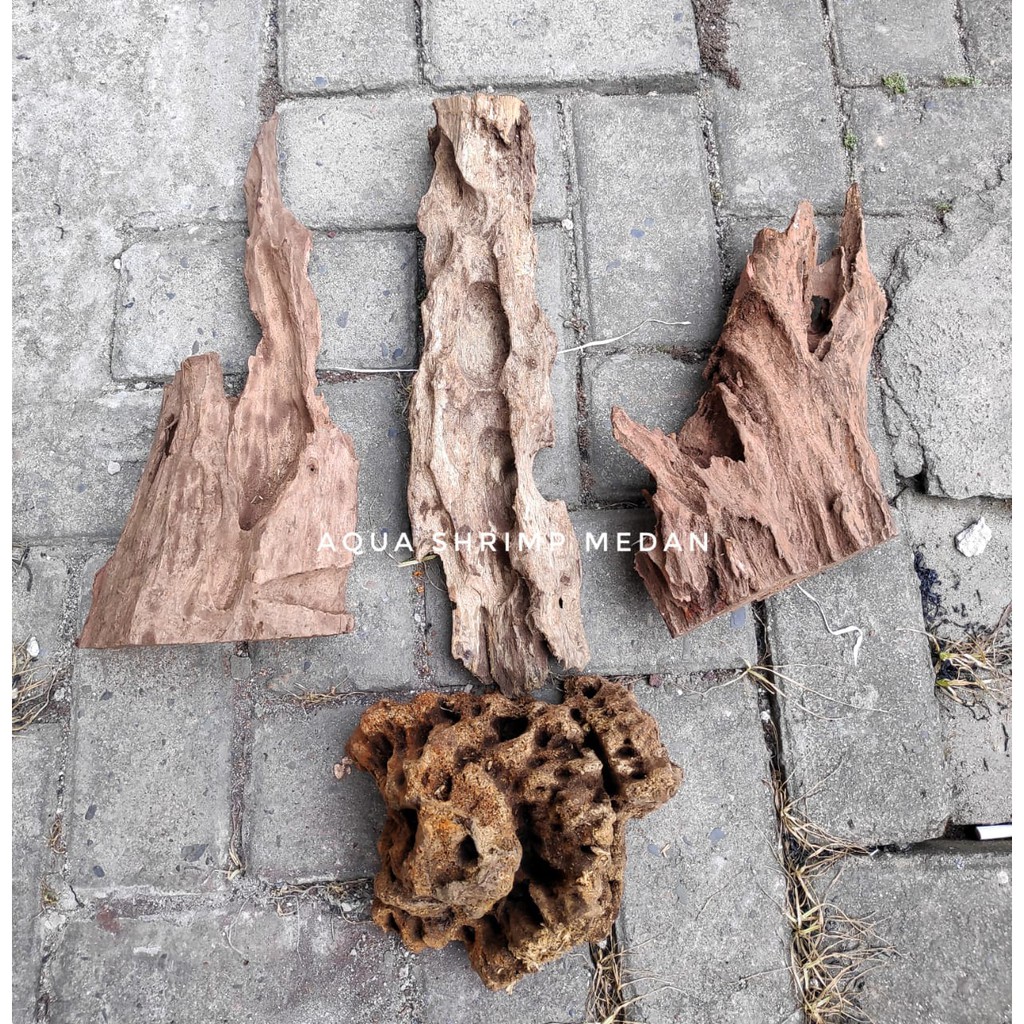 KAYU RENTEK /KAYU AQUASCAPE
