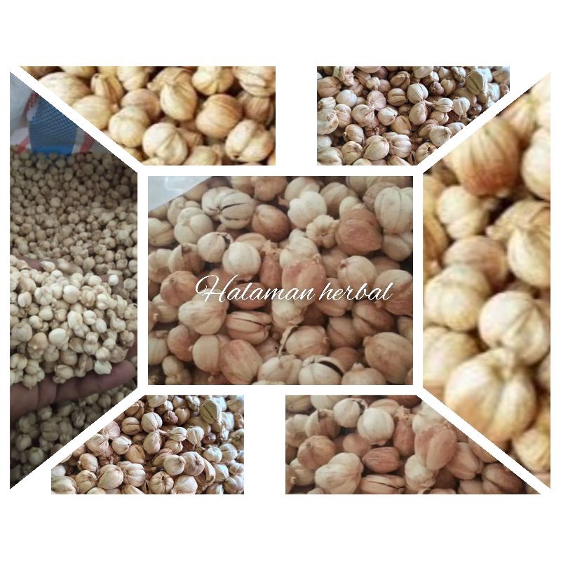 

Rempah kapulaga laga 250g