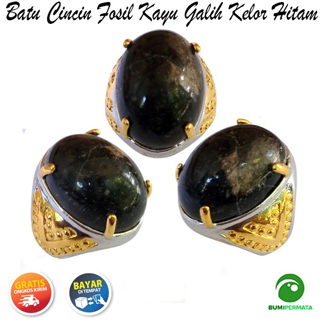 Cincin Batu Akik Fosil Kayu Galih Kelor Hitam