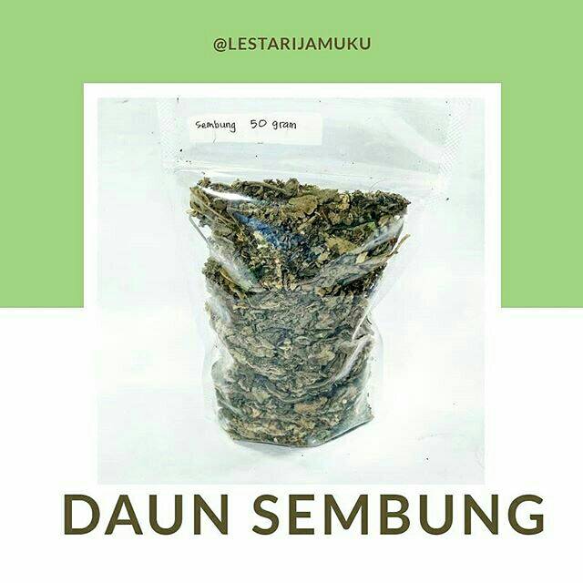 

Daun Sembung Kering Simplisia
