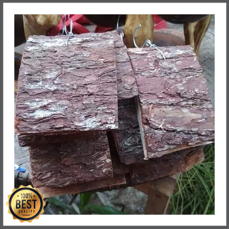 

Papan pinus mini media tempel h