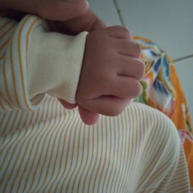 nchavel