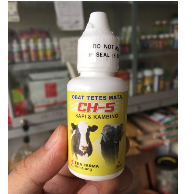 Jual Obat Tetes Mata Kambing Sapi Ch 5 Indonesia Shopee Indonesia