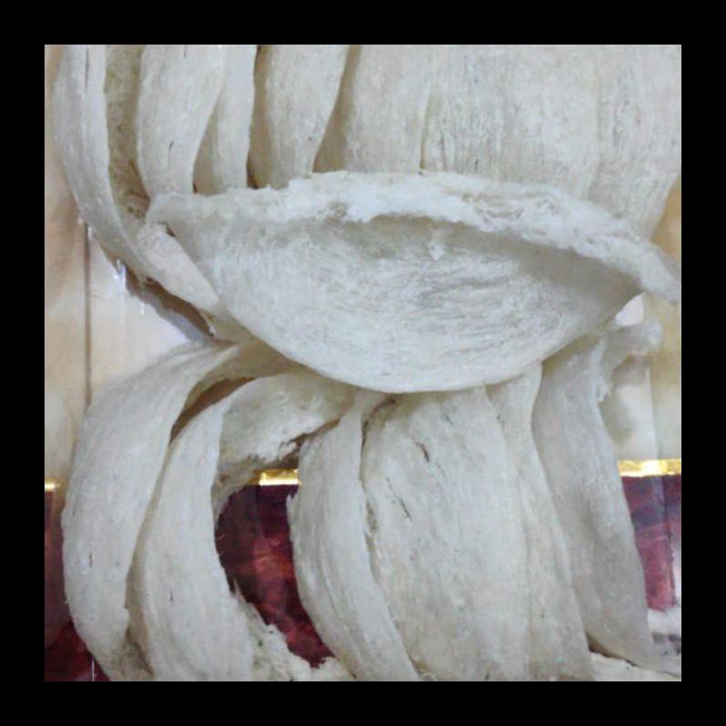 

BARU! SARANG BURUNG WALET MANGKOK SUPER 100 GR GRAM TANPA PENGAWET EXPORT TERMURAH