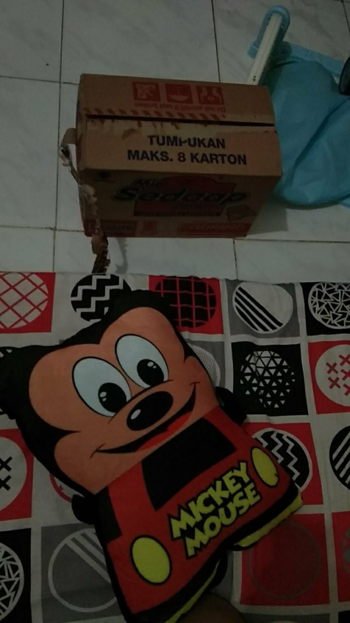 Bantal Guling Boneka Karakter Avidah