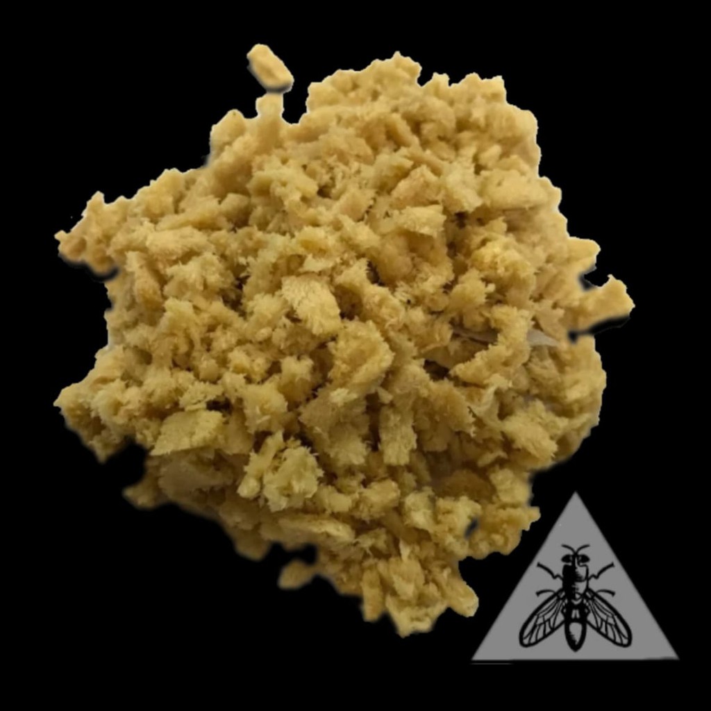 

TELUR BSF (Black Soldier Fly Eggs) | per gram