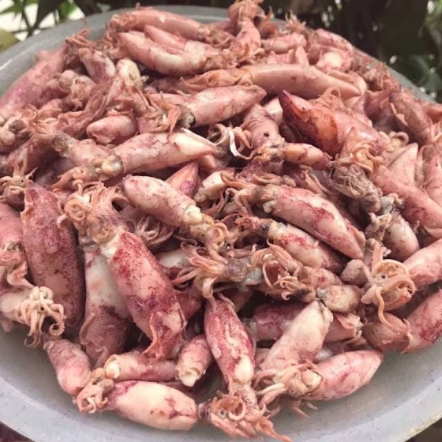

Lauk Makan Cumi Asin Mentah Fresh 250gr