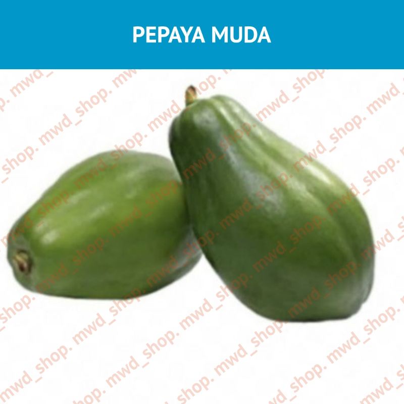 

PEPAYA MUDA