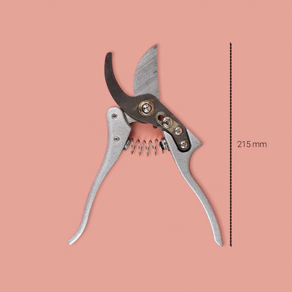 Gunting Taman Dahan Ranting Stek Bonsai Pruning Shear Scissors - GS