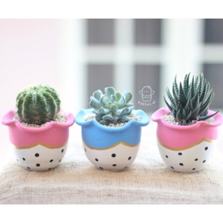 3 pot lukis kaktus sukulen bisa pilih lucu bunga 3 pot lukis kaktus sukulen bisa pilih lucu bunga