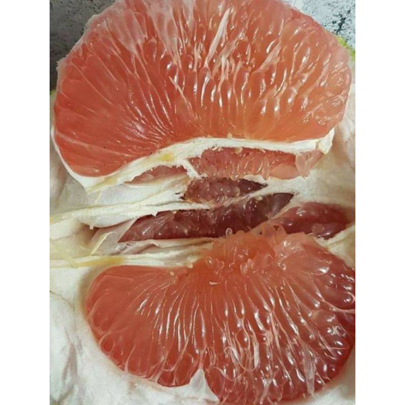 

COD jeruk bali langsung petik berat -+ 1 kg|buah rujakan|