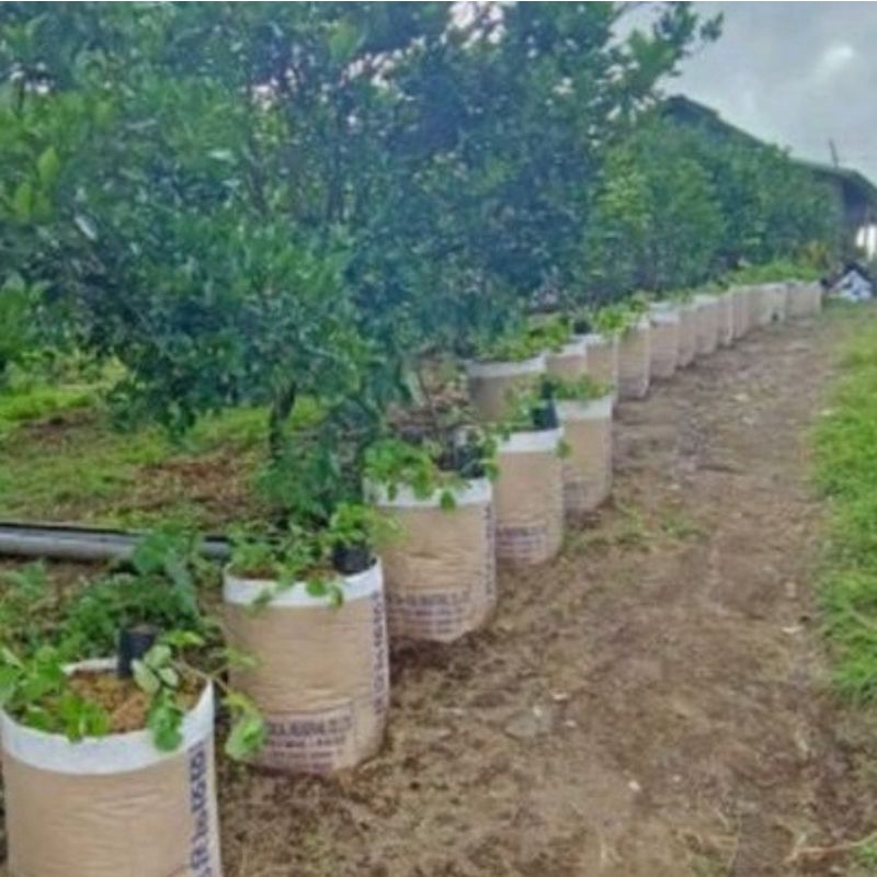 NOBLEN POLYBAG UKURAN 70X40