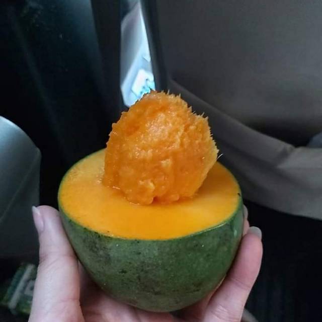 

Mangga alpukat