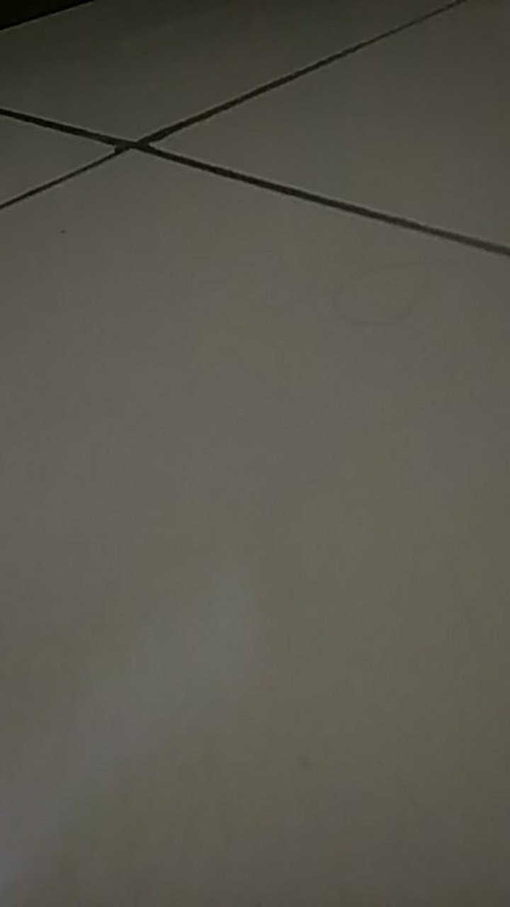 Sprei B2 Bonita Doraemon & Saurus 180x200