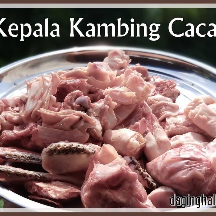 

Meat | Kepala Kambing Cacah, Kambing Muda