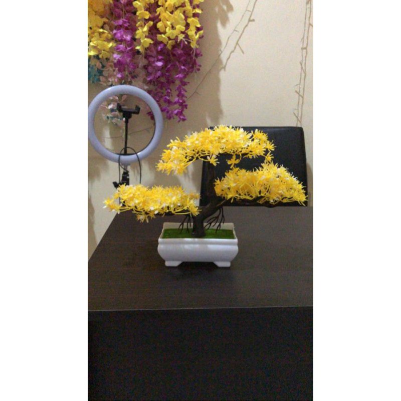 

Bunga Hias Serba dua puluh ribuan