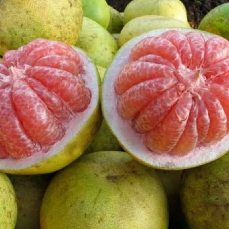 Jual JERUK PAMELO/JERUK BALI/POMELO FRESH 1 BUAH Shopee Indonesia