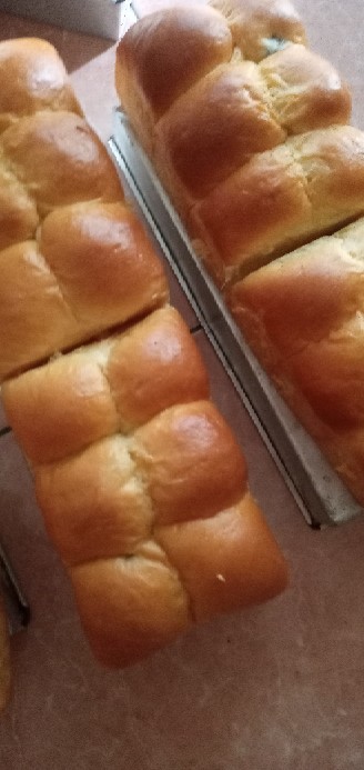 Plastik Kemasan Opp Kue Roti Cookies Pastry Kode  P 079  Isi 100pcs