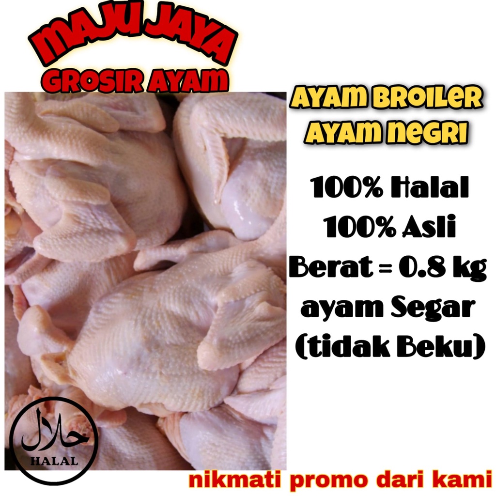 AYAM BABY UK. 0.85 - 0.9 ons / AYAM SATUAN / AYAM UTUH / AYAM 1 EKOR / AYAM BERKUALITAS / AYAM FRESH