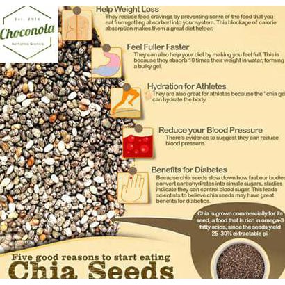 

Choconola Organic Chia Seeds 100G (Chiaseeds 100 Gr Gram / 100Gr)