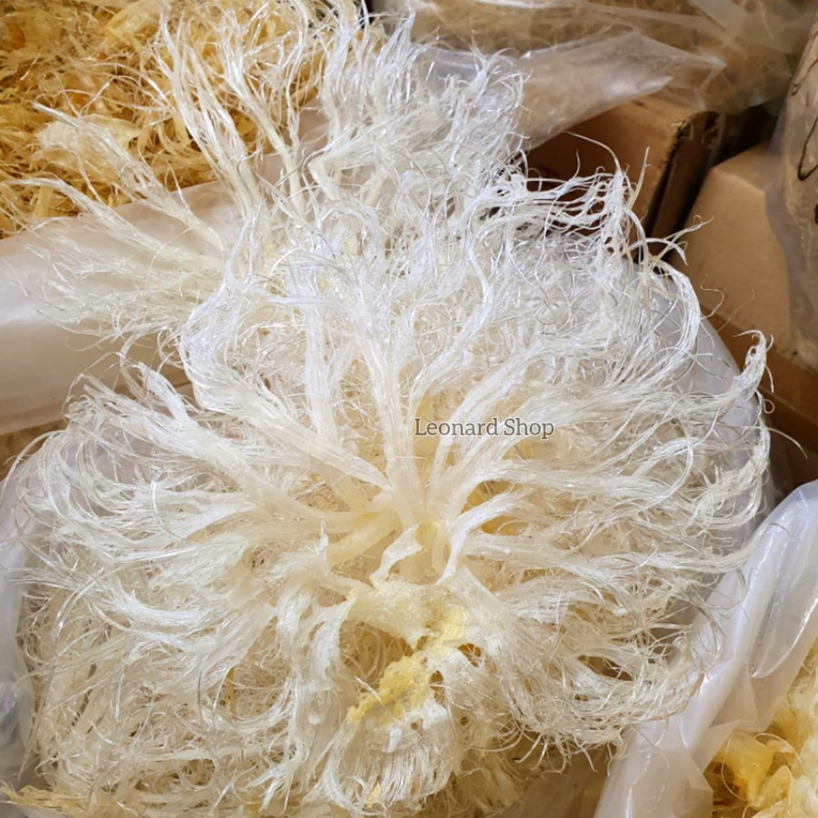 

Hu Chi Kering Besar Super 100g Bahan Sup Sirip Ikan Hiu Soup Asparagus