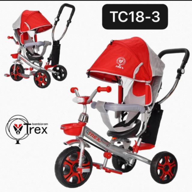Sepeda Roda 3 Anak Trex TC18