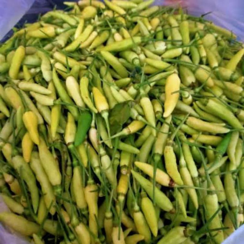 Cabe Hijau Lalapan / Cabe Rawit Hijau Lalapan / Berat 500 Gram