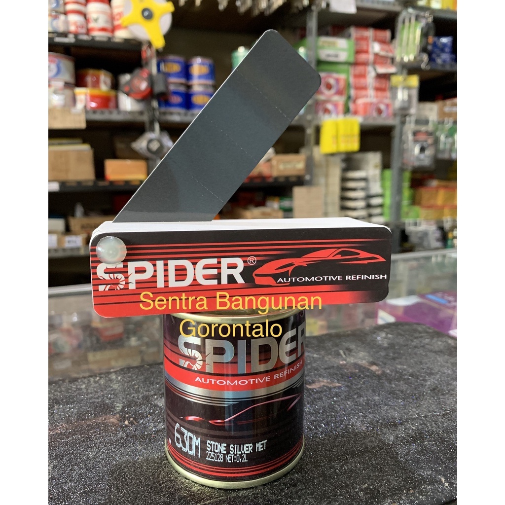 Cat Spider Stone Silver SP630M