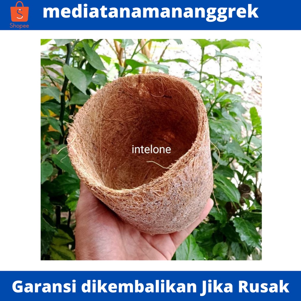 Pot anggrek sabut kelapa / pot dendrobium / pot sabut kelapa anggrek murah